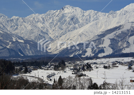 白馬村・雪の五竜岳 14213151