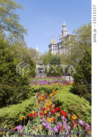 Spring at New York City Hall Park 14213157
