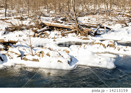Snowy Scene- Potomac River, Maryland 14213159