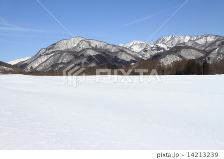 冬の白馬村・東山と雪原 14213239