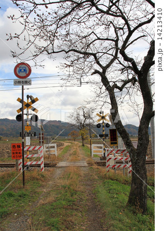 ローカル単線の踏切 14213410