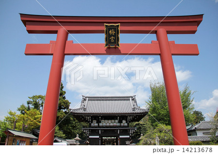 梅宮大社、朱の大鳥居と随身門 14213678