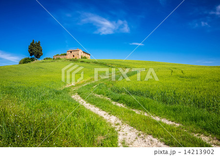 Tuscany at spring 14213902