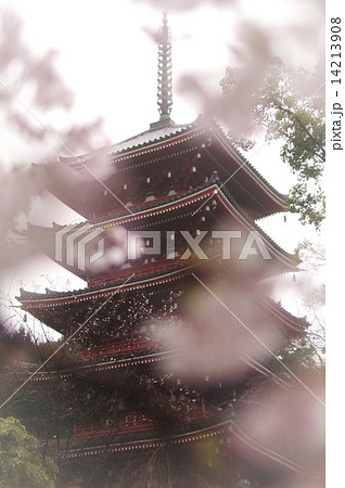 竹林寺01 竹林寺01 14213908