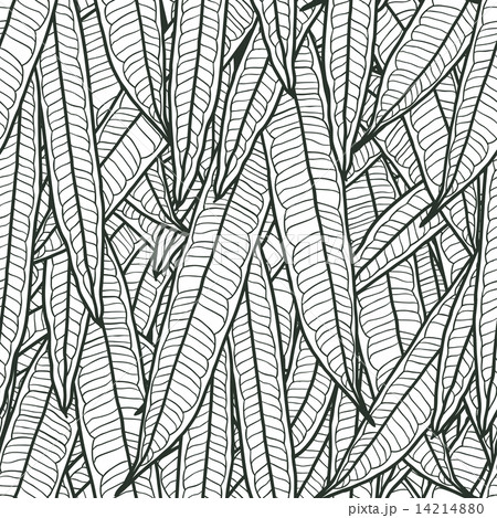 Seamless natural pattern with long leaves. Seamless natural pattern with long leaves. 14214880