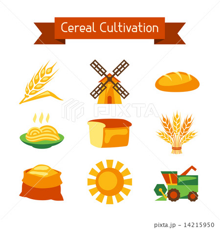 Cereal cultivation and farming icon set 14215950