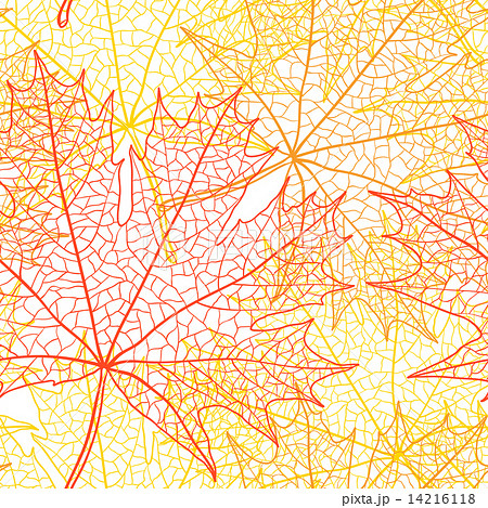 Autumn macro leaf of maple. Vector bacground. Autumn macro leaf of maple. Vector bacground. 14216118