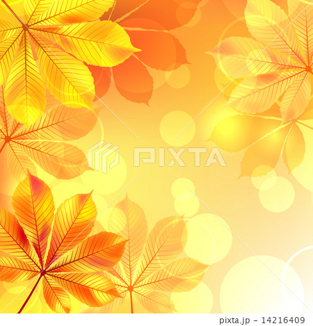 Autumn background with yellow leaves. 14216409