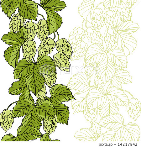 Hop Ornament On Green Grunge Background. Hop Ornament On Green Grunge Background. 14217842