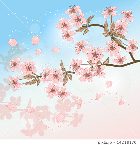 Cherry Tree (Card with stylized vector blossom) 14218170