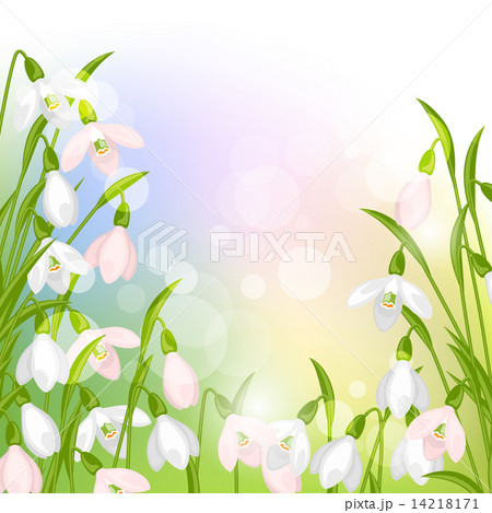 Spring flowers snowdrops natural background 14218171