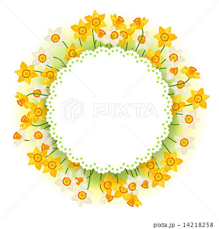 Spring flowers narcissus natural background 14218258