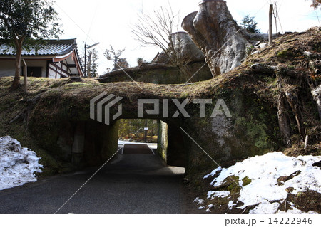 青銅門扉 14222946