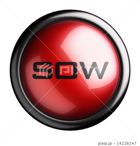 Word on the button 14226247