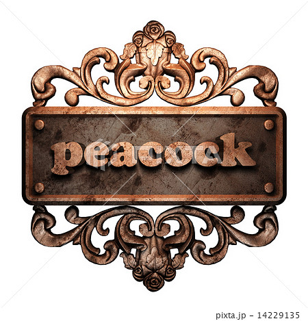 Word on bronze ornament 14229135