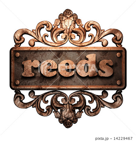 Word on bronze ornament 14229467