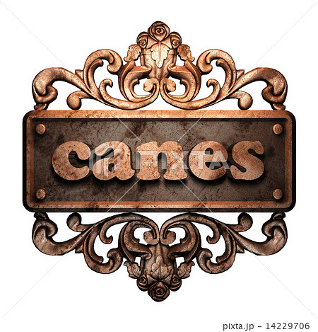 Word on bronze ornament 14229706