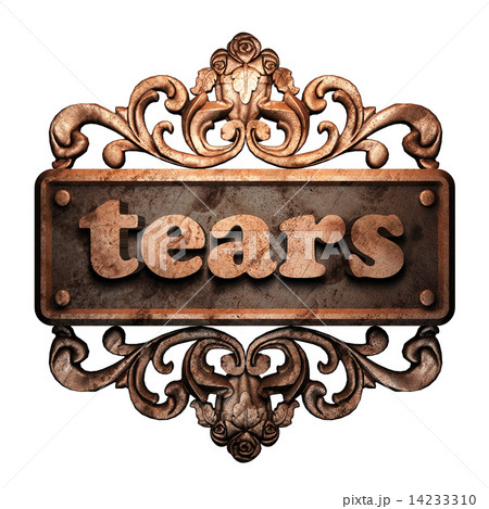 Word on bronze ornament 14233310