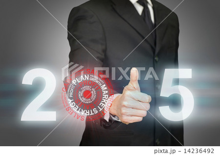 Fulfilling 2015 business target 14236492