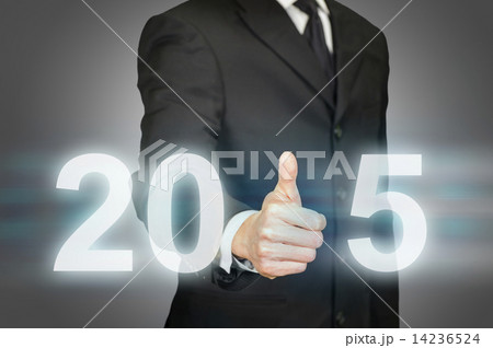 Year 2015 business success 14236524