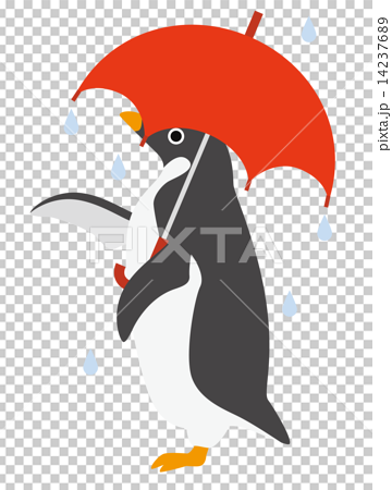 アデリーペンギン 雨ふり 14237689