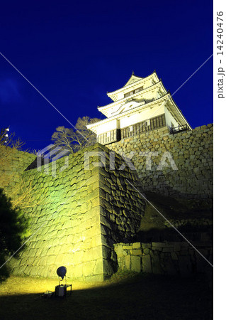 12月香川 丸亀城・天守閣と石垣ライトアップ 12月香川 丸亀城・天守閣と石垣ライトアップ 14240476