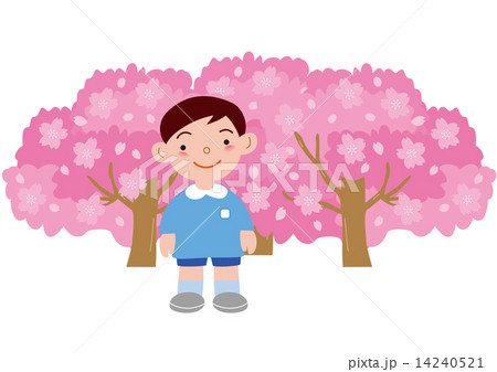 満開の桜と男の子の園児 14240521