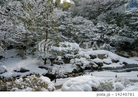 雪景色 - 青蓮院門跡 14240781