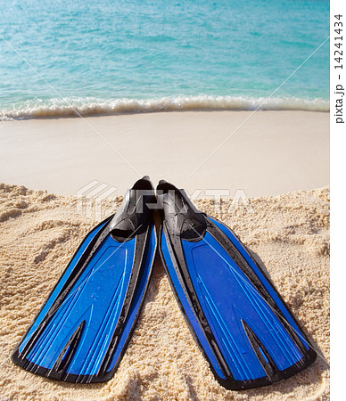 flippers lay on sand on background of ocean 14241434