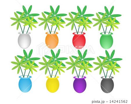 Set of Lovely Tree in Flower Pot 14241562