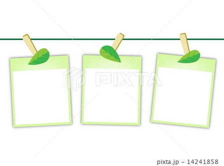Blank Photos with Green Leaves Hanging on Clothesline Blank Photos with Green Leaves Hanging on Clothesline 14241858