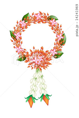 Fresh Purple Colors of Ixora Flower Garland 14241969