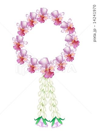 A Fresh Pink Colors of Vanda Orchid Garland 14241970