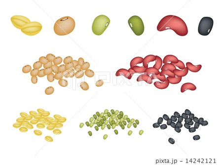 Set of Different Beans on White Background 14242121