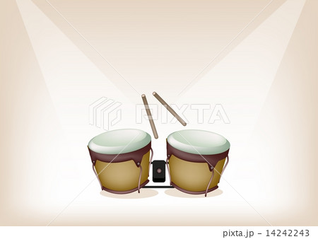 Beautiful Bongo on Brown Stage Background 14242243