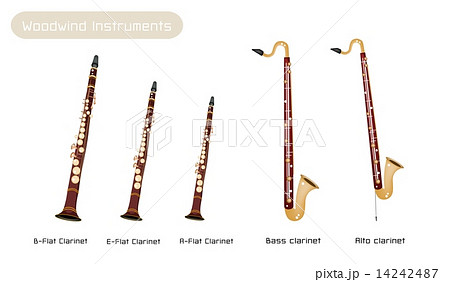 Various Kind of Clarinets Isolated on White Background 14242487
