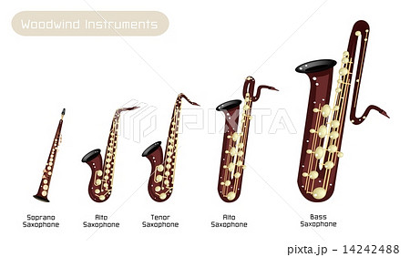 Different Kind Of Musical Saxophone On White のイラスト素材