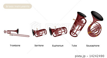 Five Musical Brass Instrument Isolated on White Background 14242490