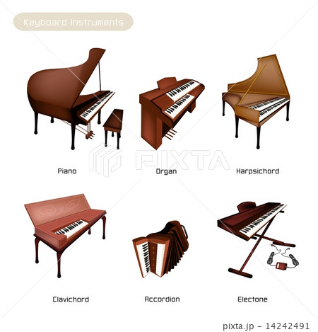Six Keyboard Instrument Isolated on White Background 14242491