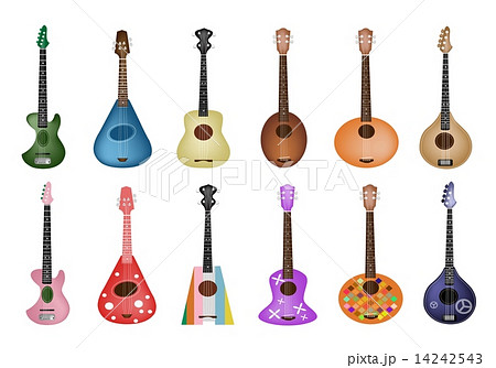 A Set of Beautiful Ukulele Guitars on White Background 14242543