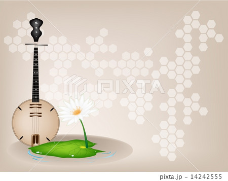 A Musical Brown Dan Nguyet on Brown Stage Background 14242555