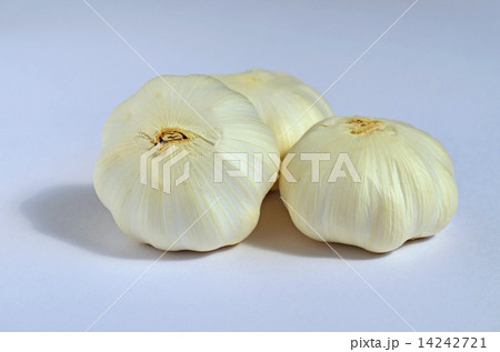 ニンニク（大蒜） 14242721