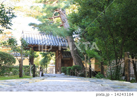 鹿王院 14243184