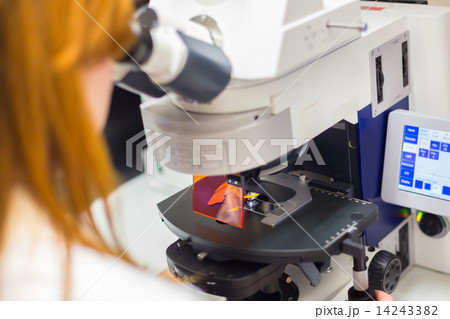 Helth care professional microscoping. Helth care professional microscoping. 14243382