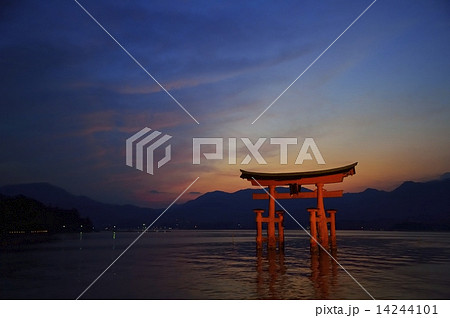 厳島神社大鳥居と夕焼け 厳島神社大鳥居と夕焼け 14244101
