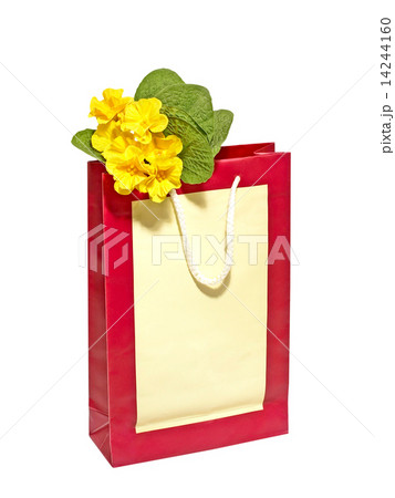 Gift bag. 14244160