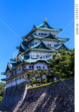 五月の名古屋城 14244177