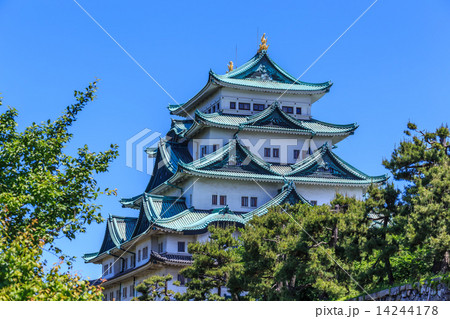 五月の名古屋城 五月の名古屋城 14244178