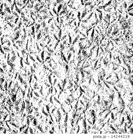 Birdprint Texture Birdprint Texture 14244219