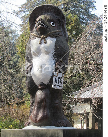 文福茶釜のタヌキ像（茂林寺の本堂／群馬県館林市堀工町1570） 14244439
